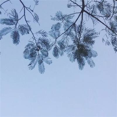 小米版本忍者大师手游下载